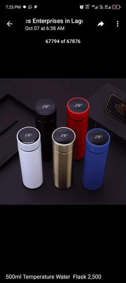 Temperature flask